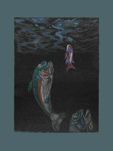 Green around the gills - colored pencil on paper